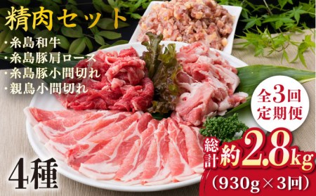 【全3回定期便】牛肉 豚肉 鶏肉 日常使いの精肉セット 930g 2-3人前 4種 糸島市/糸島ミートデリ工房[ACA193]
