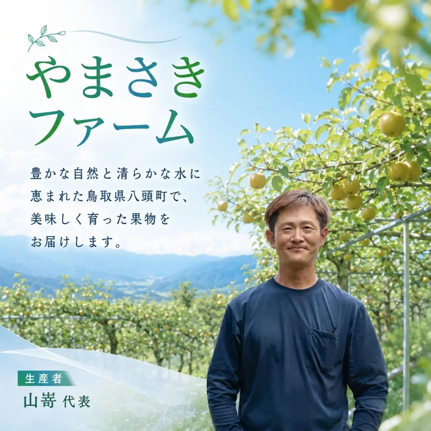 Y497 二十世紀梨(赤秀) 3kg