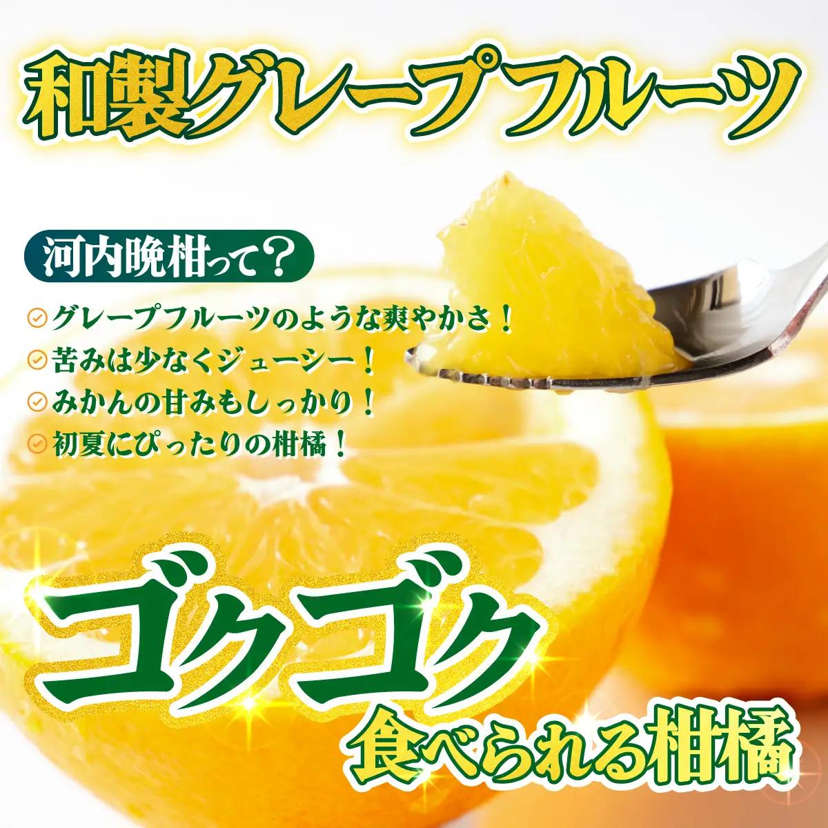 ＜【訳あり】愛媛県産 河内晩柑 約5kg＞『2026年4月上旬～8月下旬迄に順次発送予定』わけあり 訳アリ みずみずしい 和製グレープフルーツ かわちばんかん みかん 蜜柑 果物 くだもの フルーツ 