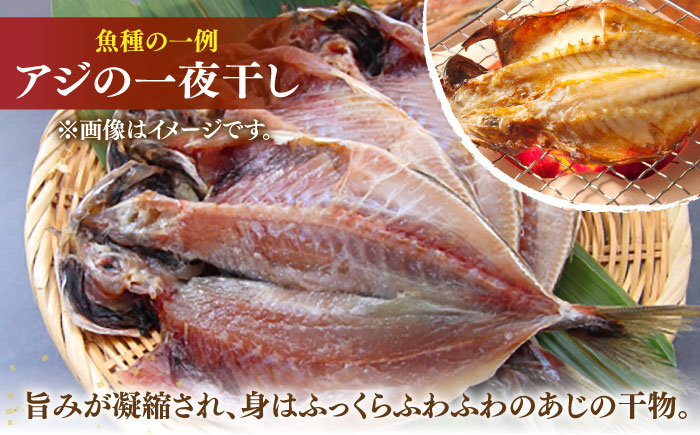 地魚 田舎干物セット 5種《壱岐市》【魚助】 干物 ひもの 海産物 朝食 海鮮 アジ あじ カマス イワシ アジの開き [JFX005]