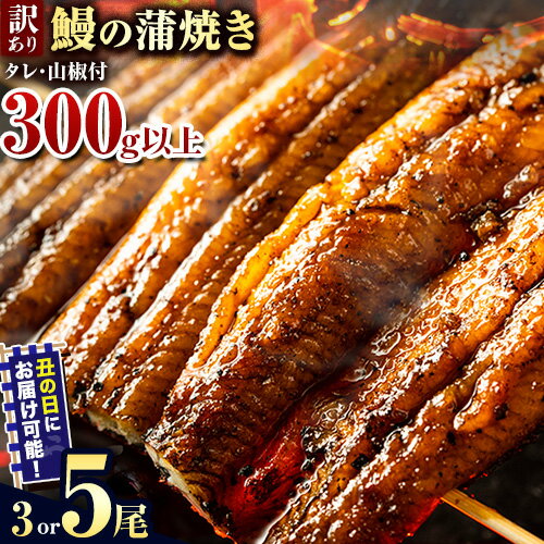 【ふるさと納税】うなぎ 訳あり 3尾 5尾 《選べる出荷時期》│ うなぎ 国産 うなぎ 訳あり サイズ不揃い 1尾100g～150g 先行予約 土用の丑の日 選べる出荷時期 簡易包装 送料無料 徳島県 上板町