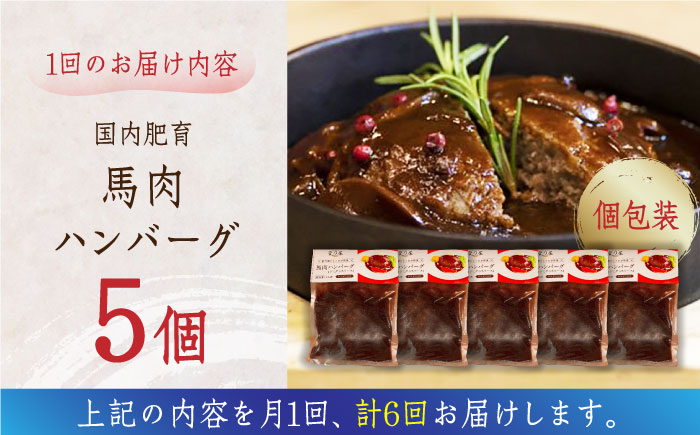 【全6回定期便】国内肥育 冷凍 馬肉ハンバーグ 計1kg ( 200g × 5個 ) デミグラスソース入り 小分け 個包装 惣菜 湯煎 熊本【有限会社 丸重ミート】[YAK038]