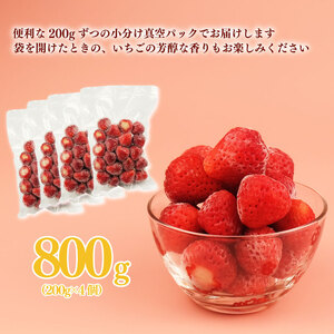 冷凍 いちご 越後姫 800g  200g × 4パック 越後姫 いちご 苺 苺 いちご いちご いちご いちご いちご imagawaya017