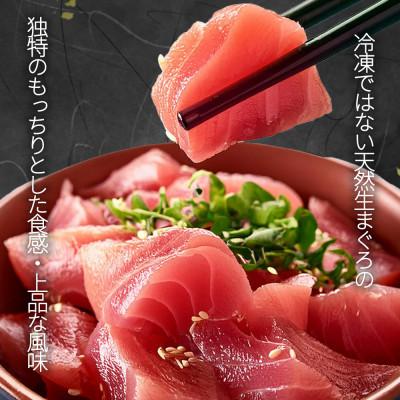 ふるさと納税 由良町 那智勝浦直送!天然生まぐろ　柵　500g |  | 03