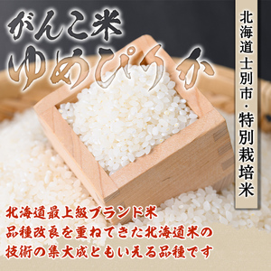 ＜令和8年産 新米 先行予約！＞田舎塾特別栽培米「がんこ米ゆめぴりか」(20kg) 【2026年10月上旬以降順次発送】 米 お米 白米 北海道産 北海道米 ゆめぴりか 特A 一等級 ごはん おこめ 