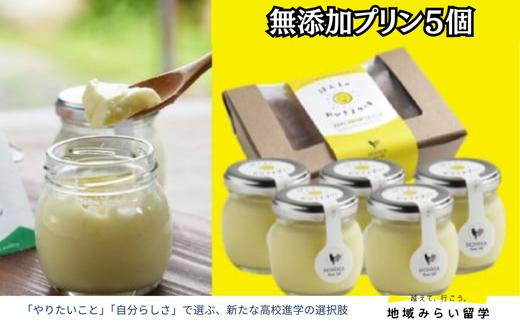 
            本間農園 無添加プリン（5個）
          