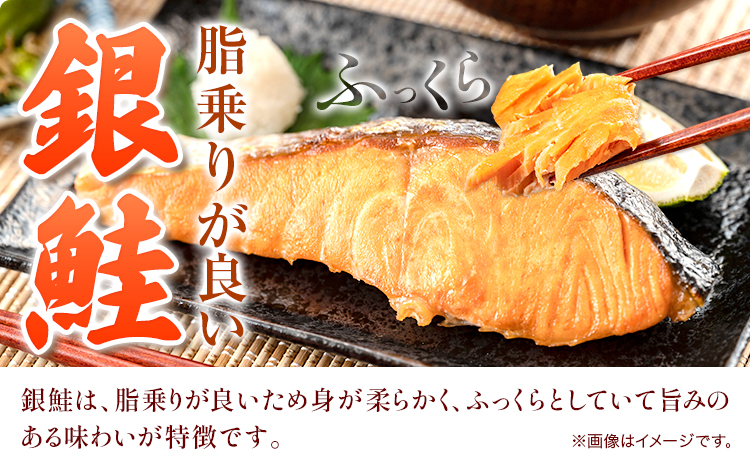 和歌山魚鶴仕込の甘口塩銀鮭切身14切(2切×7パック)小分け魚鶴商店《90日以内に出荷予定(土日祝除く)》甘口塩銀鮭銀鮭鮭さけ切り身---wsh_fhuo4_90d_23_14000_7p---