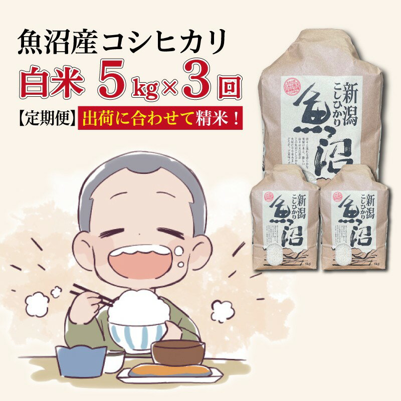 【ふるさと納税】【3か月定期便】令和7年産　魚沼産コシヒカリ 精米5kg×3回　計15kg　米 コメ こしひかり 精米 ブランド米 お取り寄せ 十日町市　お届け：2025年10月中旬～2026年8月下旬まで
