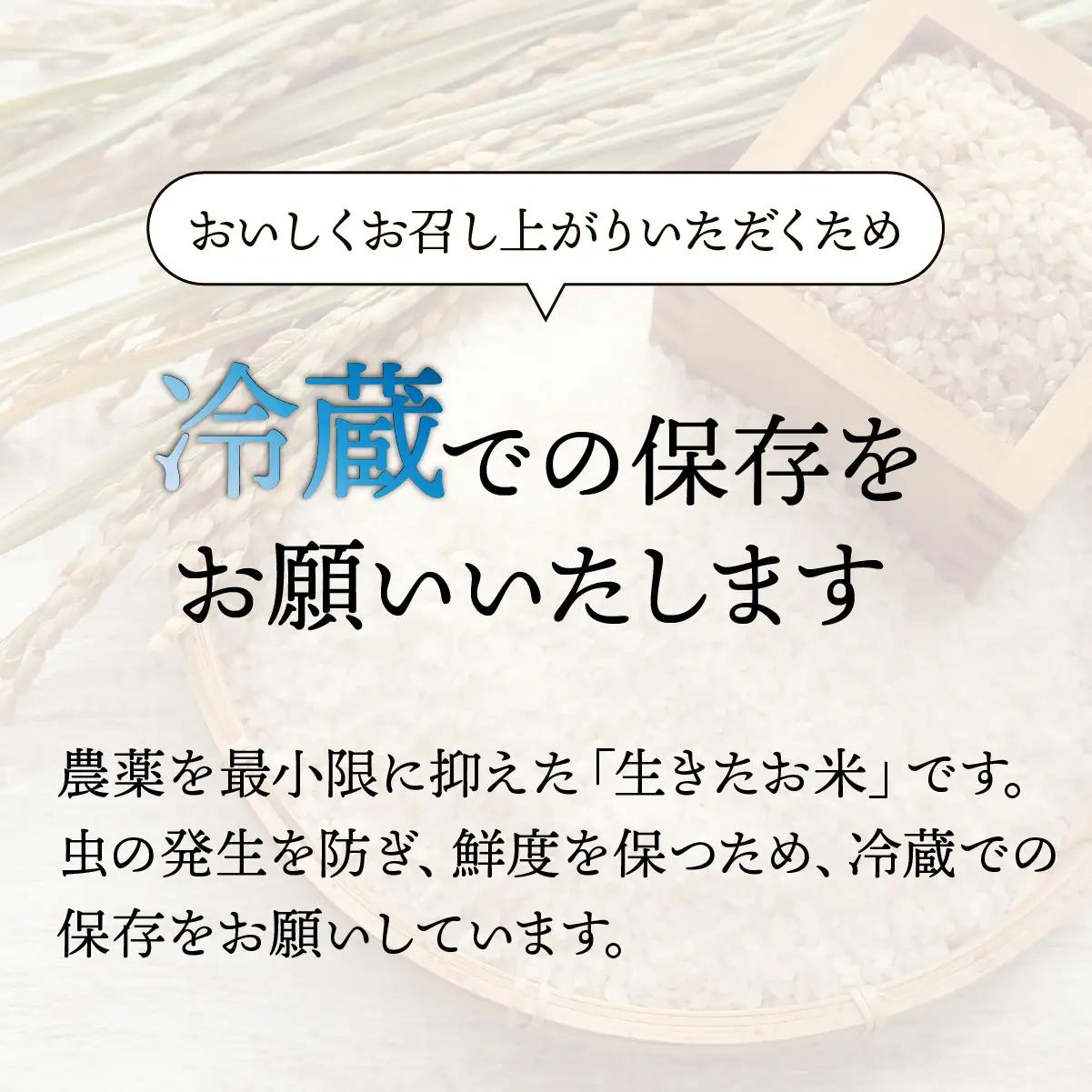 お米 にじのきらめき 玄米 30kg 令和8年 新米 | 米 ひたちなか市