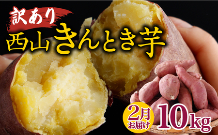 【令和8年２月お届け】【訳あり】西山きんとき芋 10kg さつまいも サツマイモ さつま芋 焼き芋 やきいも ヤキイモ 野菜 大小混合 傷 故郷納税 送料無料 ta029