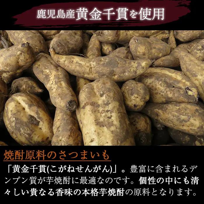 i494 鹿児島本格芋焼酎！天守の雫(900ml×12本・アルコール度数25度)紫尾山の水と黄金千貫で仕込んだ焼酎！ 芋焼酎 焼酎 お酒 アルコール 本格焼酎  紫尾山 黄金千貫 家飲み 宅飲み 紫尾