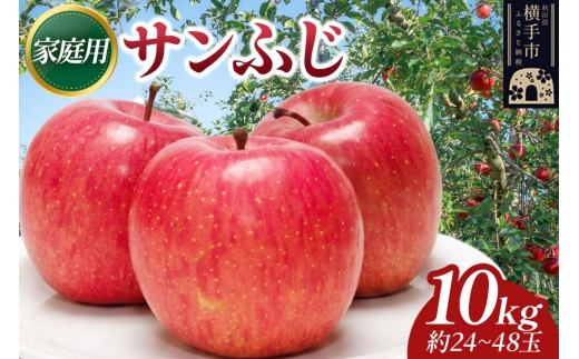 【先行受付】12月上旬より発送 樹上完熟りんご（サンふじ）家庭用 約10kg（約24～48玉） 喜三郎農園 [先行予約 秋田県 横手市 林檎 リンゴ りんご 果物 フルーツ 家庭用]