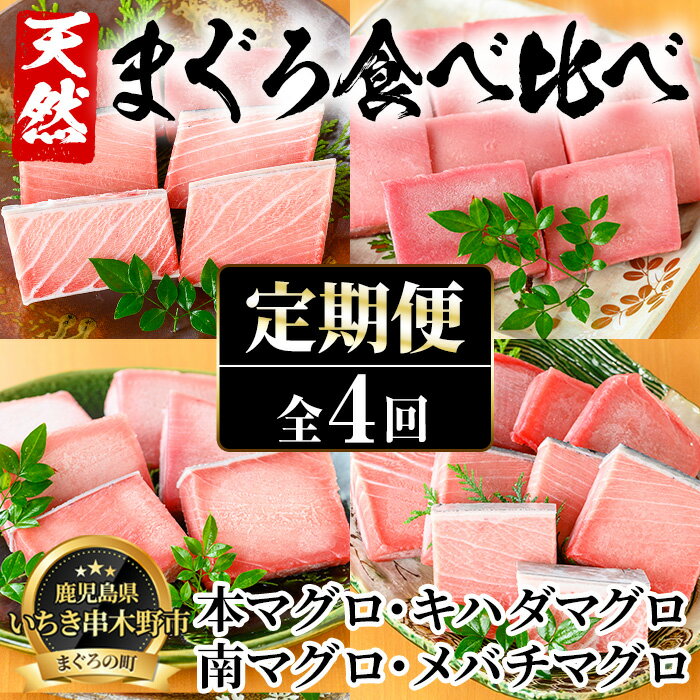 【ふるさと納税】＜定期便・全4回(毎月)＞厳選天然まぐろ食べ比べセット！大トロ・中トロ・赤身(総量3.2kg)まぐろ 鮪 刺身 海鮮丼 海鮮 魚介 さかな 頒布会【海鮮まぐろ家】