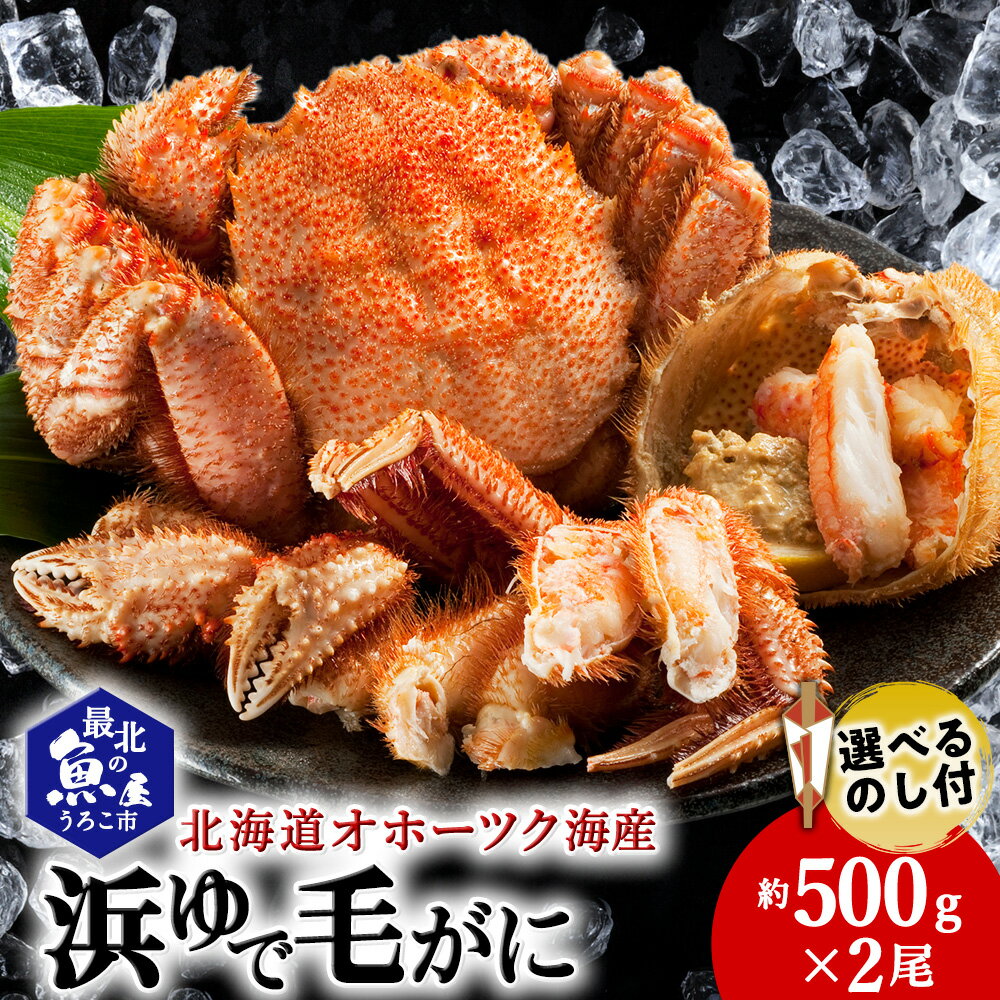 【ふるさと納税】北海道オホーツク海産 浜ゆで毛がに 約500g×2尾 選べるのし付ボイル 毛がに 毛ガニ 毛蟹 ボイル 蟹 カニ 北海道ふるさと納税 稚内 ふるさと納税 北海道 【配送不可地域：離島】