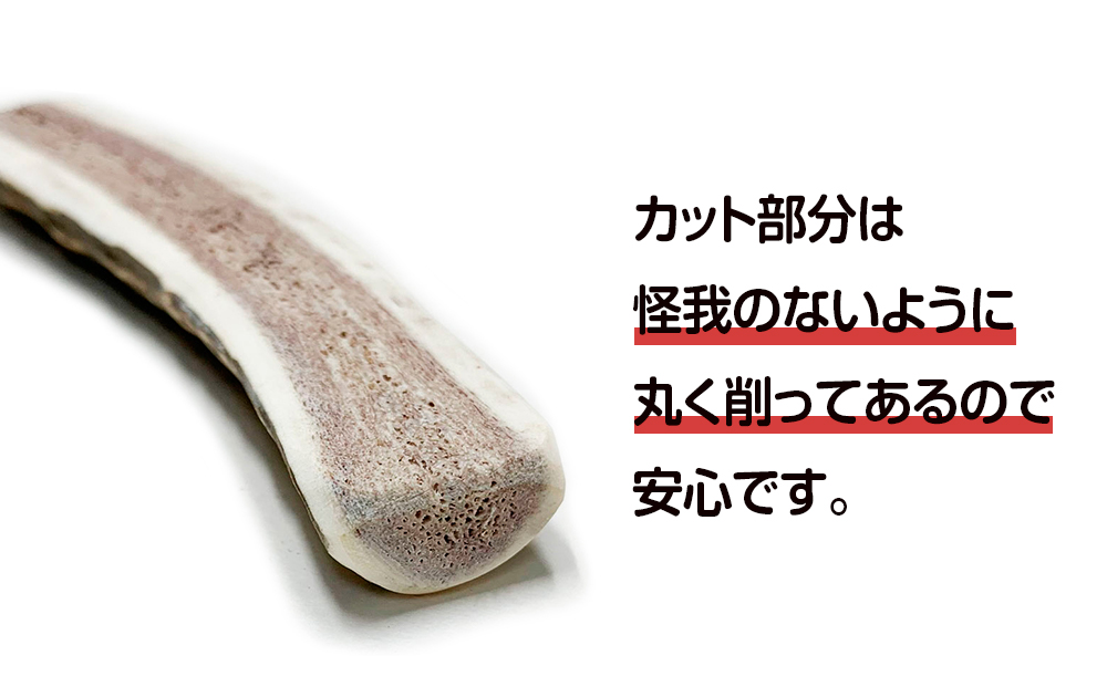 鹿の角 エゾシカ 犬のおもちゃ 『鹿角さん』 小型犬用　半割り　2本セット CB024_イメージ2