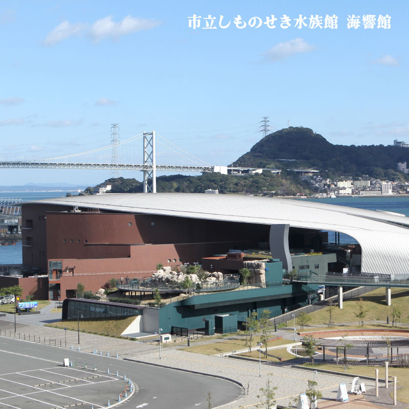 下関 共通宿泊券 30,000円分 観光 ふぐ 関門海峡 宿泊 リゾート ホテル ふぐ 料理 山口 30,000円分