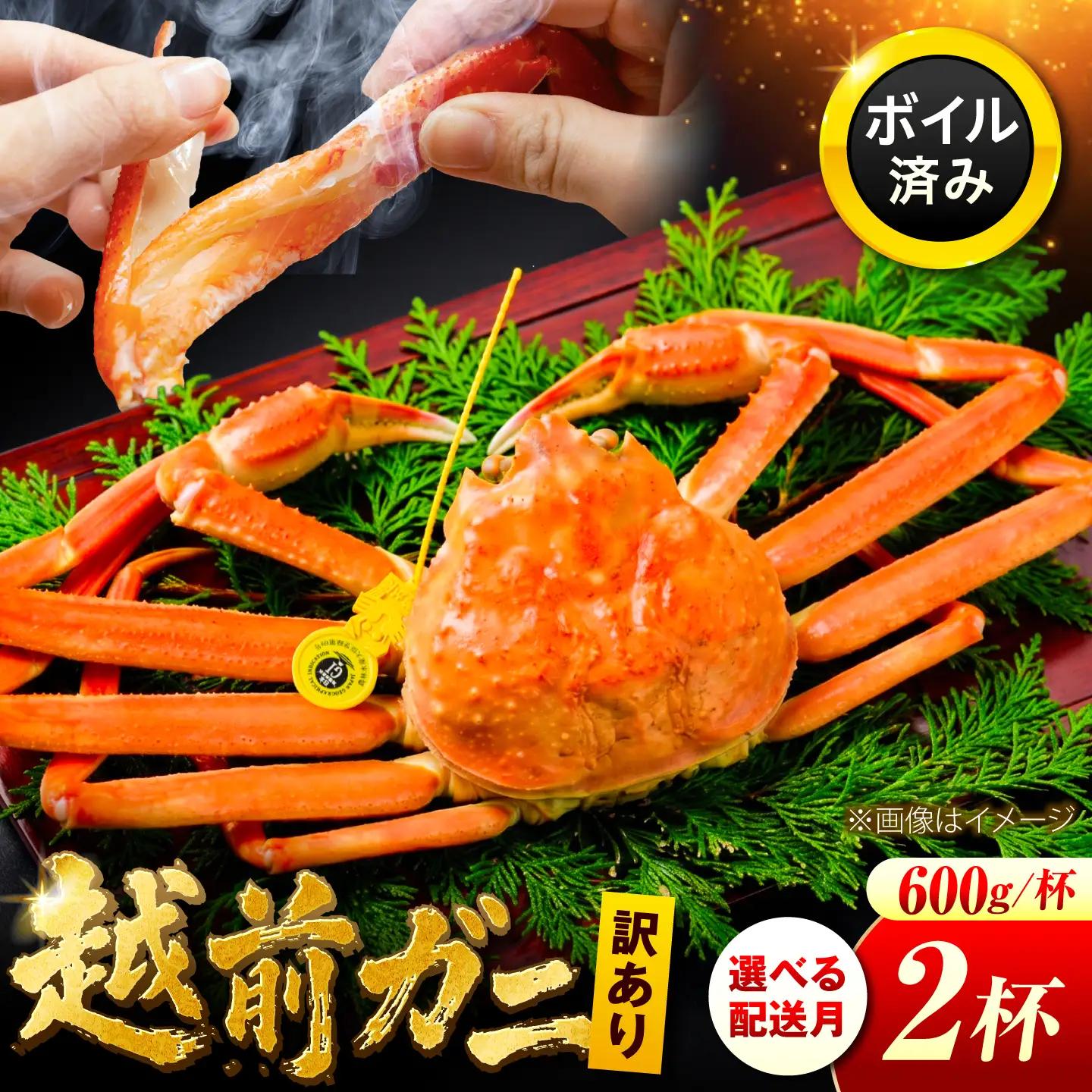 【先行予約/11月7日より順次配送】訳アリ 脚折れあり 越前がに 600g×2ハイ 小浜市 / まるほ商店[BFCS063]