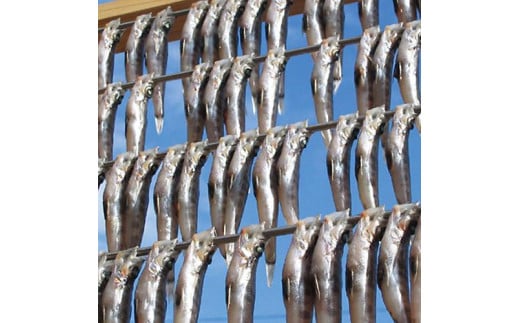 いわき市の魚 めひかりの干物 24尾 ｜ 贈り物 ギフト 福島県 いわき市 大川魚店 メヒカリ 干物 ひもの 贈答 CK007