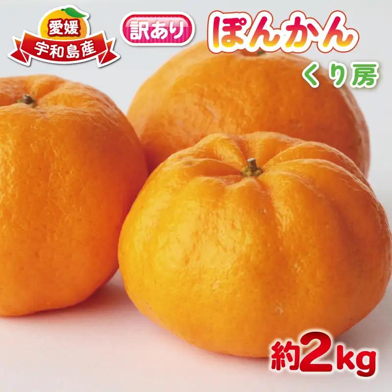訳あり ぽんかん 約 2kg くり房 ぼんかん B010-204005