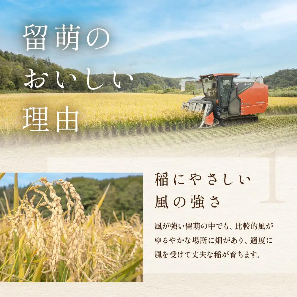 【先行予約】 令和8年産 【6ヶ月定期便】 ななつぼし 北海道南るもい産 (白米)5kg×2袋 R011-037-R8