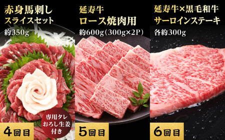 【12回定期便】熊本県産 黒毛和牛 あか牛 馬刺し 豪華食べ比べ【有限会社 九州食肉産業】[ZDQ173]