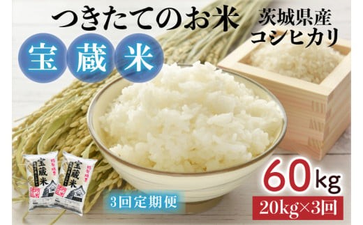 【3ヶ月定期便】【令和7年産】茨城県産コシヒカリ 宝蔵米 20kg×3回【お米 米 菊池 こしひかり つきたてのお米 食味ランキング特A評価 茨城県 水戸市】（CZ-909）