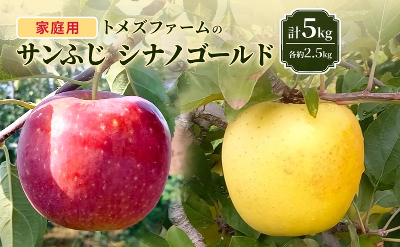
            サンふじ・シナノゴールド詰合せ（家庭用） 各約2.5kg 計5kg　トメズファーム　りんご　長野　信州　小諸　果物　フルーツ　食べ比べ [№5915-1670]
          