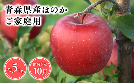 １０月発送　【訳あり】家庭用ほのか5ｋｇ　【そと川りんご園・１０月・青森県産・平川市・りんご・ほのか・5ｋｇ・訳あり・家庭用】