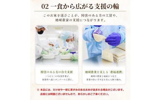 【令和8年度産】 米（コシヒカリ） 2合（300g) ×30 お米 精米 こしひかり 2合 特別栽培 真空包装 真空パック 使い切り SDGs 備蓄 こめ コメ お米 おこめ ライス ke-0065