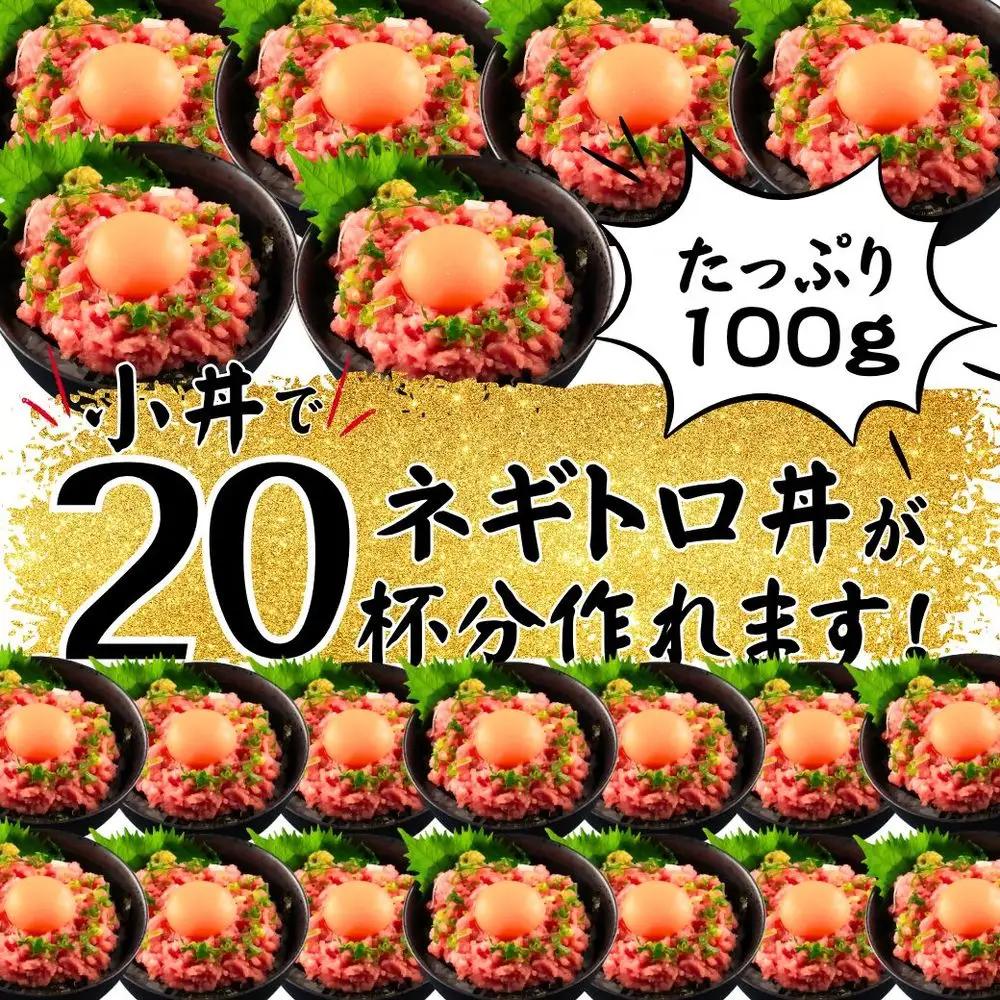 まぐろたたき ネギトロ(100g×10P)【魚住商店】_HA1975 まぐろ ねぎとろ 丼 おつまみ 国産 おかず 福岡県宗像市 宗像市 福岡 宗像