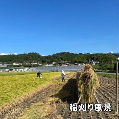 ふるさと納税 豊丘村 【天日干しのコシヒカリ】【令和7年産】 長野県豊丘村産コシヒカリ　精米　5kg |  | 03