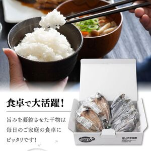 トロカマス干物８枚定期便【全６回】 _iz027