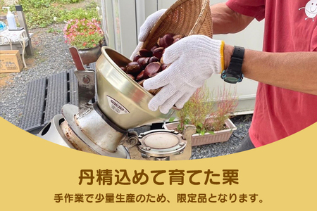 氷蔵熟成栗で甘み倍増 甘くて美味しい笠間の焼き栗800g(200g×4袋) ふかさわ農園 笠間の栗ブランド認証栗 栗 熟成 氷蔵 甘くて美味しい 800g 10月10日以降発送予定 笠間市 茨城県 E