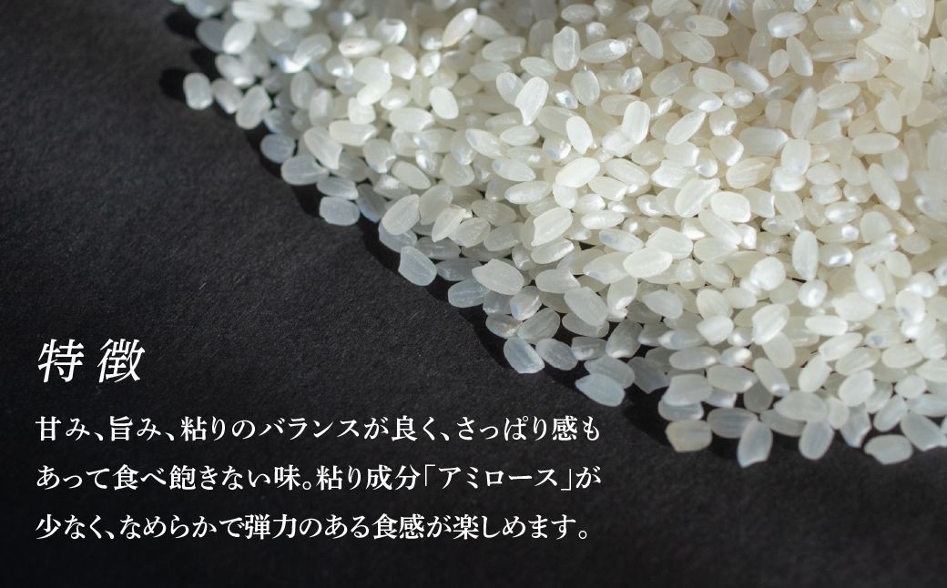 米 こめ コメ 精米 白米 銘柄米 ご飯 おにぎり お弁当 和食 主食 国産