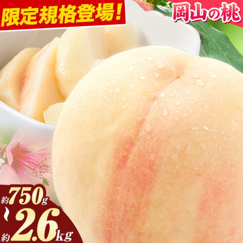 【ふるさと納税】【先行予約】桃 岡山の桃 岡山黄桃 約750g 約1kg 約2.6kg《2025年6月下旬-9月上旬頃出荷》 ご家庭用 訳あり 白桃 岡山 黄桃 はくとう スイーツ フルーツ 果物 デザート 旬 モモ もも 先行予約 送料無料 果物 岡山県 笠岡市 清水白桃 白鳳 白麗 クール便