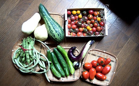 《先行予約》＜秋出荷＞こだわり有機農家の野菜セット 2.5kg(8～10種類)  F4D-0131