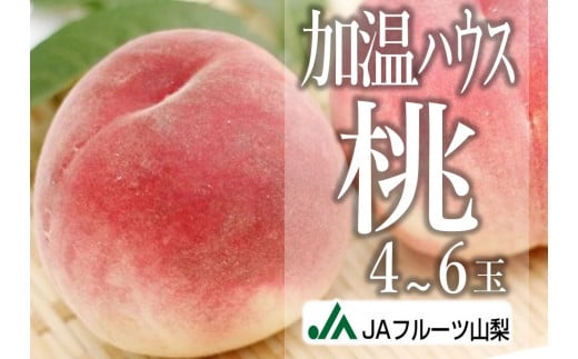 JAフルーツ山梨 甲州市産ハウスもも4～6玉【60】【2026年発送】C-131【桃 もも モモ 令和8年発送 期間限定 山梨県産 甲州市 フルーツ 果物】