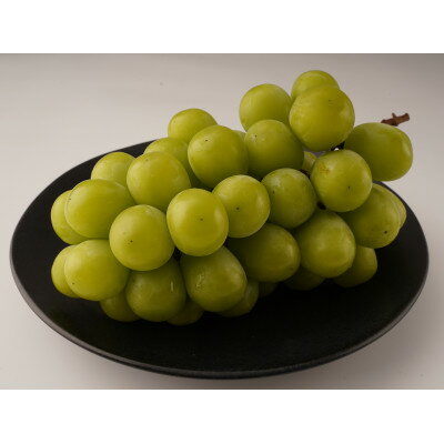 【ふるさと納税】【お試し用】シャインマスカット　約550g【配送不可地域：離島・北海道・沖縄県】【1694723】