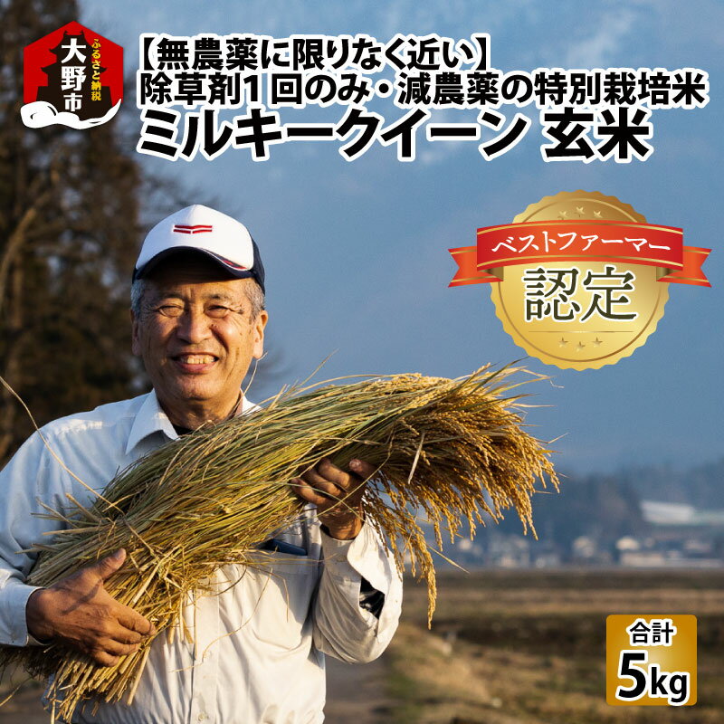 【ふるさと納税】【令和7年産】【無農薬に限りなく近い】ミルキークイーン 玄米 5kg 除草剤1回のみ・有機質肥料による特別栽培米 減農薬 化学肥料不使用 [B-030009]