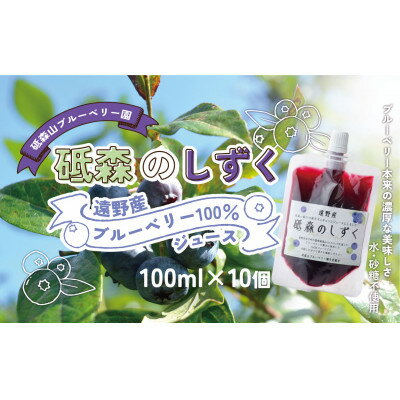 【ふるさと納税】砥森のしずく ブルーベリージュース 果汁100% 100ml×10個 岩手県遠野市 遠野食工房【1583564】