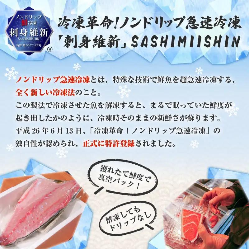キビナゴの刺身と天ぷら セット K100-003 魚 冷凍
