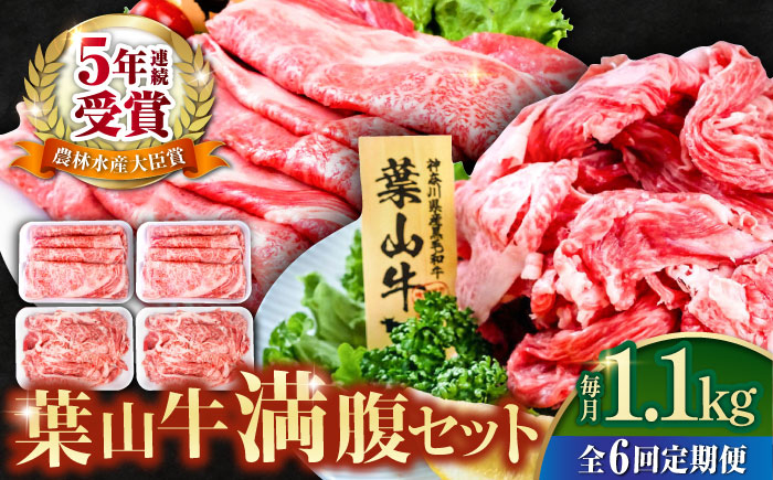 
【全6回定期便】葉山牛満腹セット（肩ロースすき焼用250g×2＋切落し300g×2） 小分け 牛肉 すきやき 冷凍 切り落とし 横須賀 計1.1kg【株式会社羽根】 [AKAG043]
