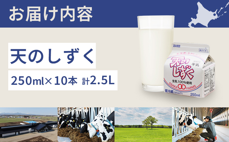 天のしずく 250ml × 10本 計 2.5L【51005】_イメージ3