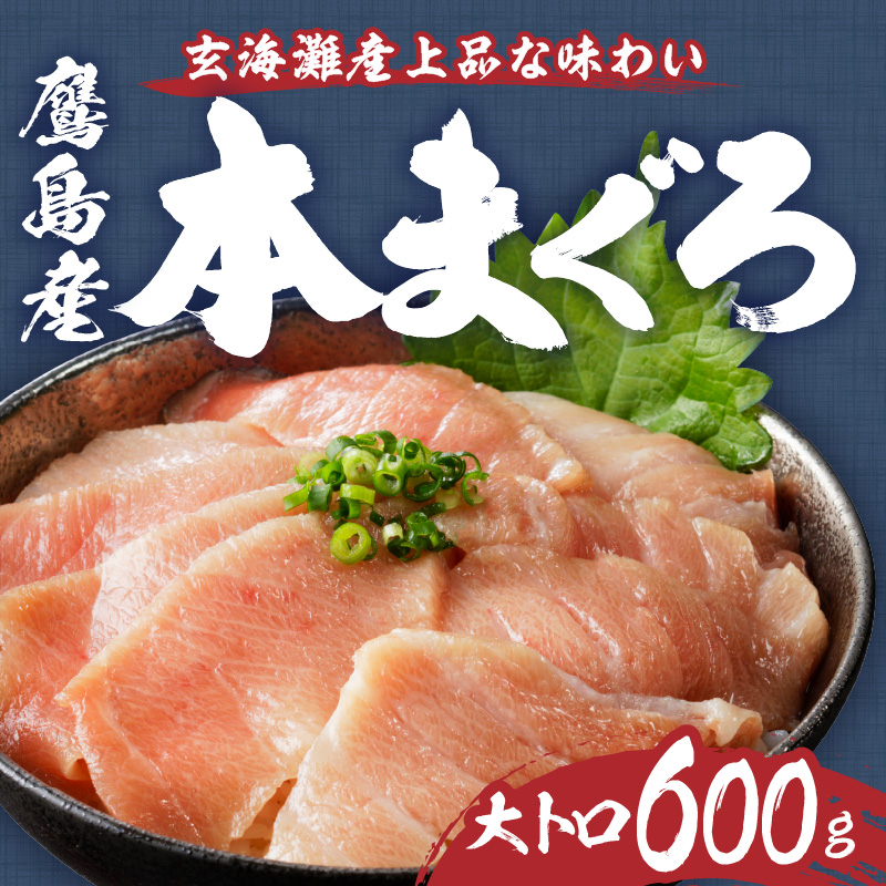 鷹島産本まぐろ 大トロ600g( マグロ 本マグロ 養殖 大トロ まぐろ 鮪 トロ 丼 ネギトロ 鷹島 切り落とし )【D5-005】