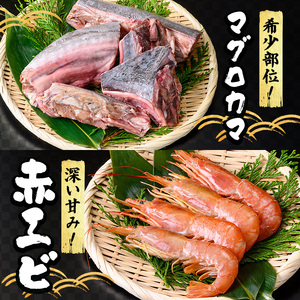 ＜数量限定＞海鮮BBQセット4種(2～3人前) 魚介 サザエ イカ クロマグロ マグロ マグロカマ 赤エビ 海の幸 冷凍 バーベキュー BBQ 【sm-DG006-A】【木村鮮魚店】