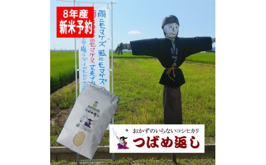 【令和8年産米予約受付中】おかずのいらないコシヒカリ「つばめ返し10kg」白米6か月定期便(月イチで計6回) FC168002