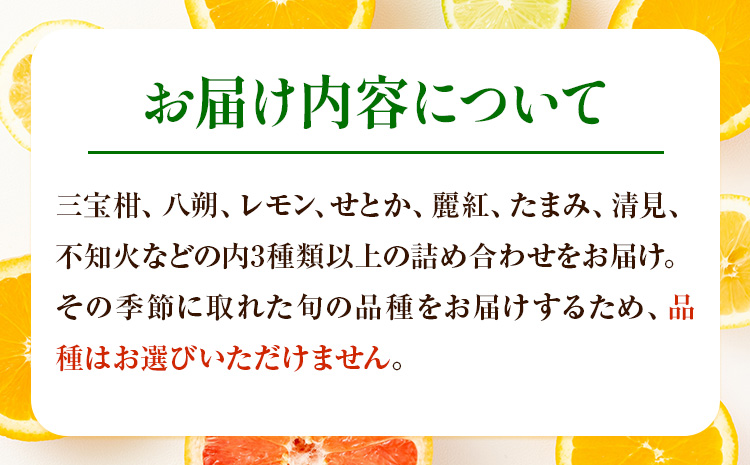 主井農園の季節のこだわりみのりセット 約5kg 主井農園《2月中旬-4月下旬頃出荷予定》 和歌山県 日高町 柑橘 みかん オレンジ せとか 清見オレンジ たまみ 不知火 デコポン 八朔 レモン 果物 