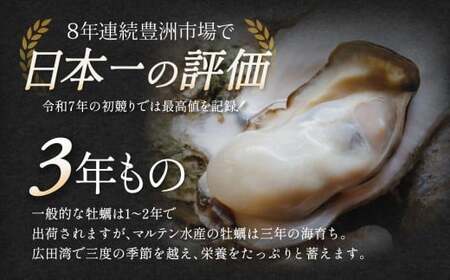 牡蠣 先行予約 殻付き 牡蠣 8個 【 三陸産 旬 産地直送 おためし 】