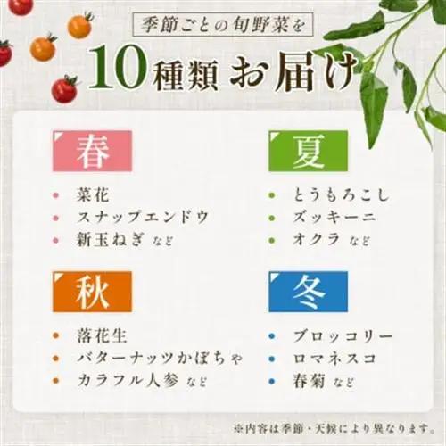 【毎月定期便】【上旬発送】こだわりの旬野菜BOX「リエビン」季節の野菜セット全12回【配送不可地域：離島・沖縄県】【4012345】