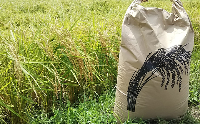 はなまる農園令和6年新米香川県産「コシヒカリ（玄米）30kg」 12月配送
